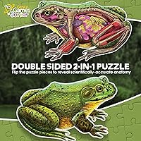Vista 3 de Bullfrog - Rompecabezas de piso de anatomía animal Rompecabezas de 100 piezas de doble cara Ilustración científicamente precisa de rana de gran