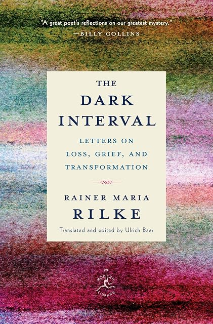 Portada de The dark interval