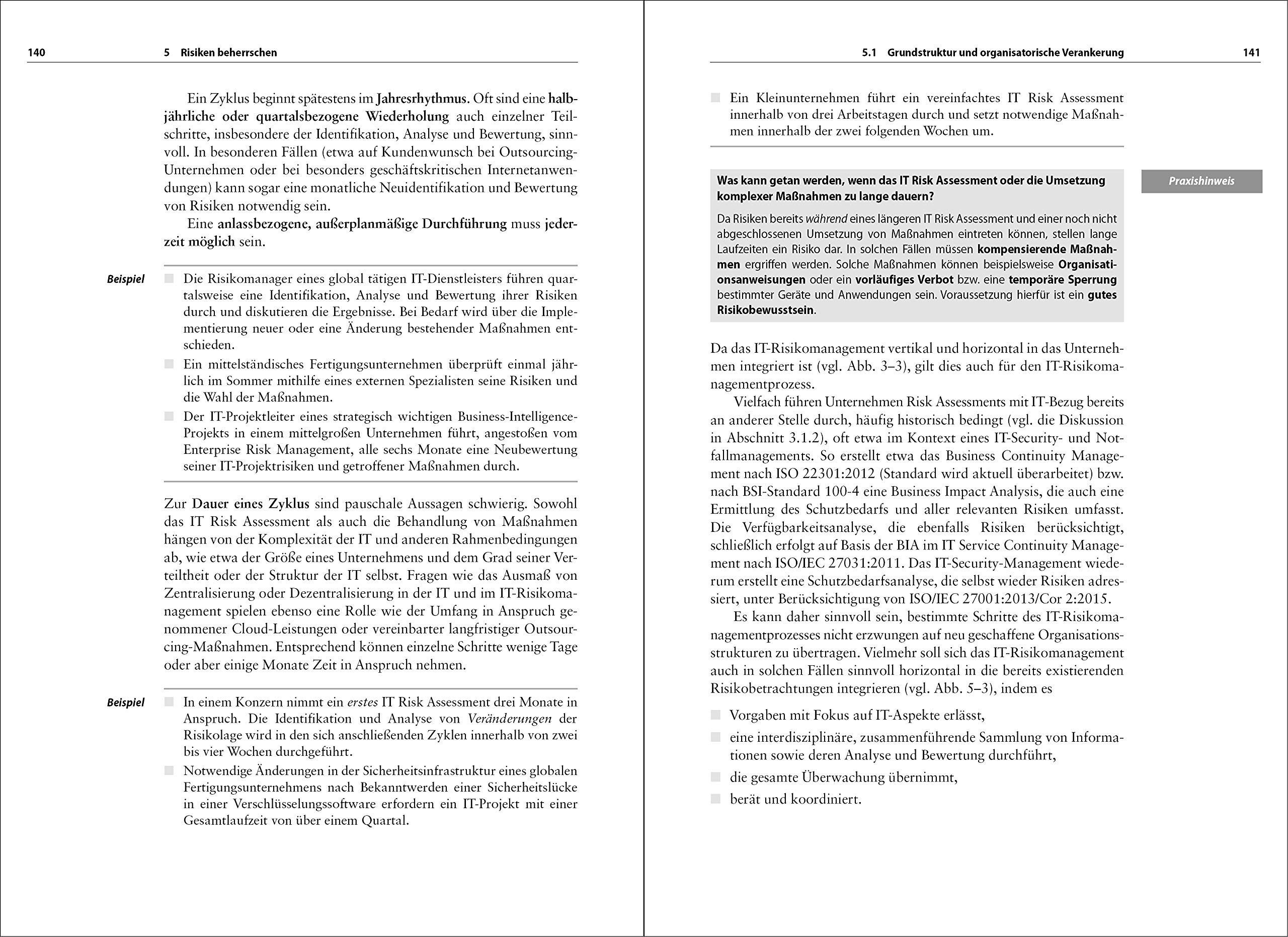 Praxisorientiertes IT-Risikomanagement: Konzeption, Implementierung und Überprüfung