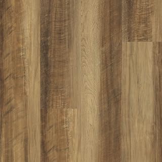 Shaw Floors 509SA00203 Paramount 512C Plus Vinyl Flooring, Tawny Oak, 18 Square Feet