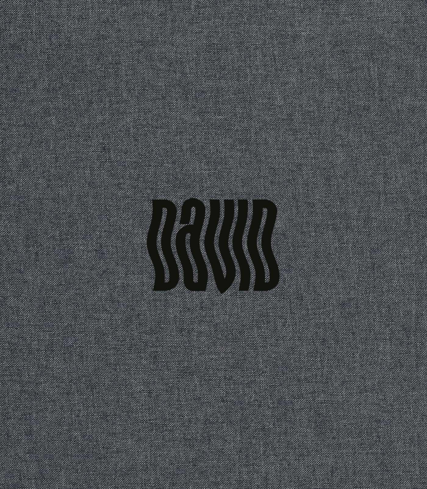 David Bowie by Denis O'Regan: With Rare and Unseen Images From his Official Tour Photographer