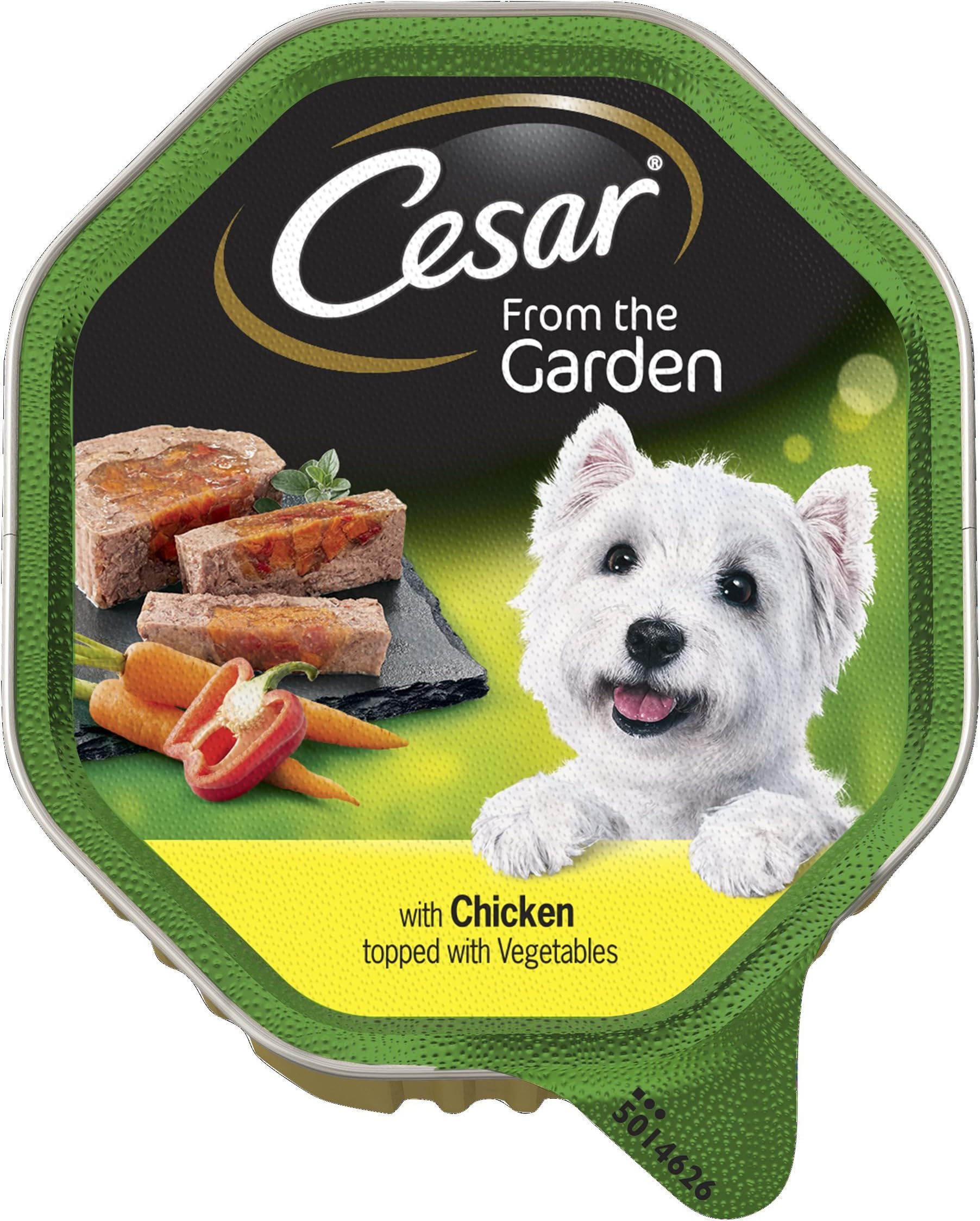 Cesar Country Kitchen Wet Dog Food for Adult Dogs 1 + Special