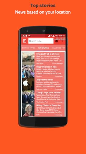 Mini Browser