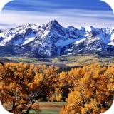 Colorado News PRO