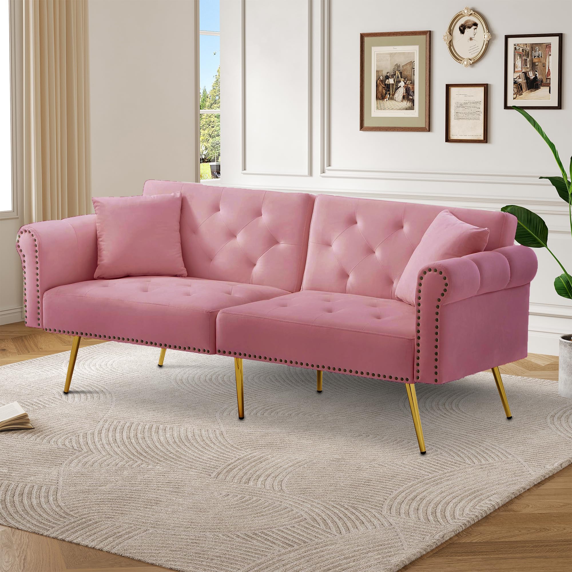 BTM Modern 2-Seater Sofa Bed – Velvet Upholstery, 3-Stage Adjustable Backrest & Gold-Plated Metal Feet Stylish Sofa with Sleeping Function – Space-Saving, Durable, Ideal for Small Spaces — image 1