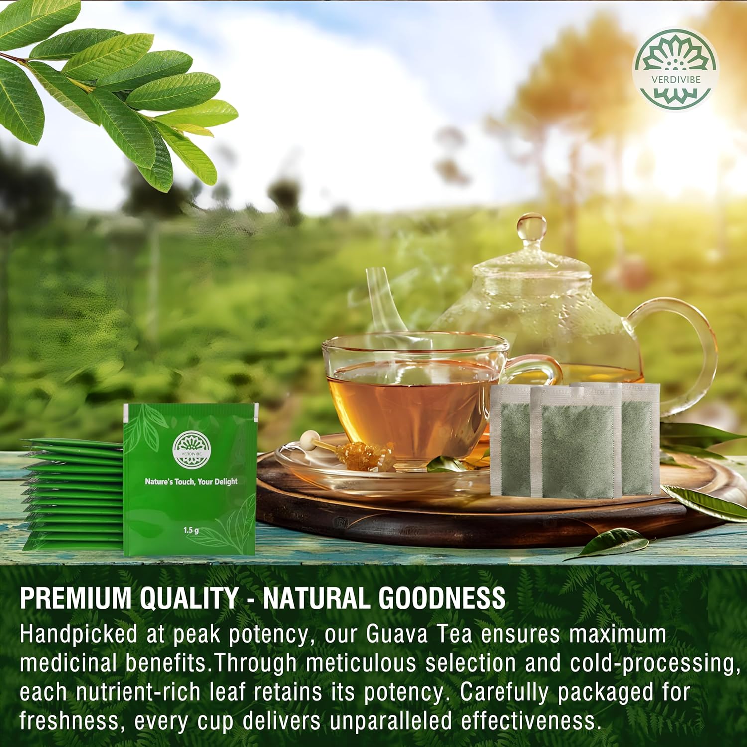 Premium Guava Leaves Tea Bags - Cold-Dried for Maximum Freshness and Nutrient Retention - 45 Hojas De Guayaba Leaf Tea Bags (45, Guava) - Image 3