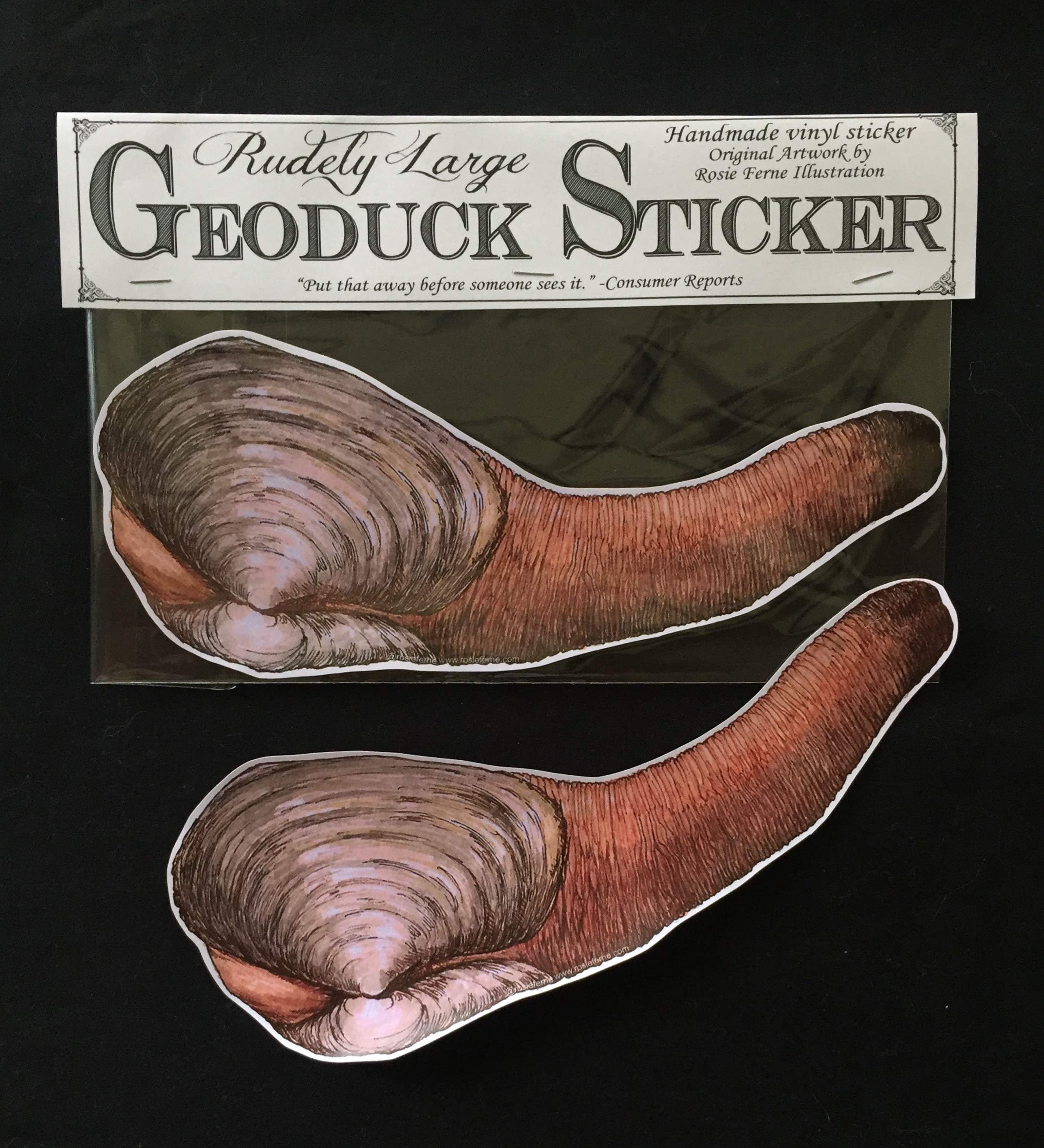 Rudely Large Geoduck Sticker - giant vinyl geoduck handmade sticker