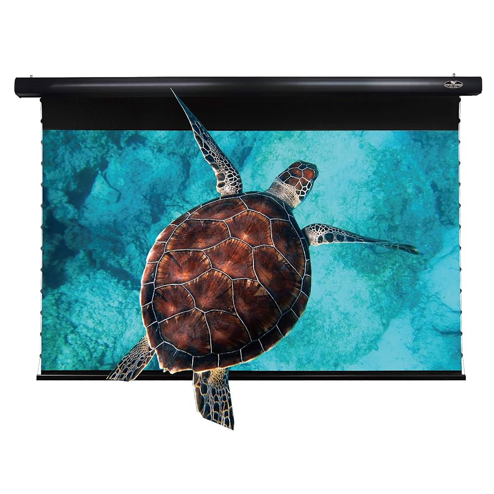 ビビットストリーム　スクリーン VIVIDSTORM プロジェクタースクリーン レビュー｜超短焦点