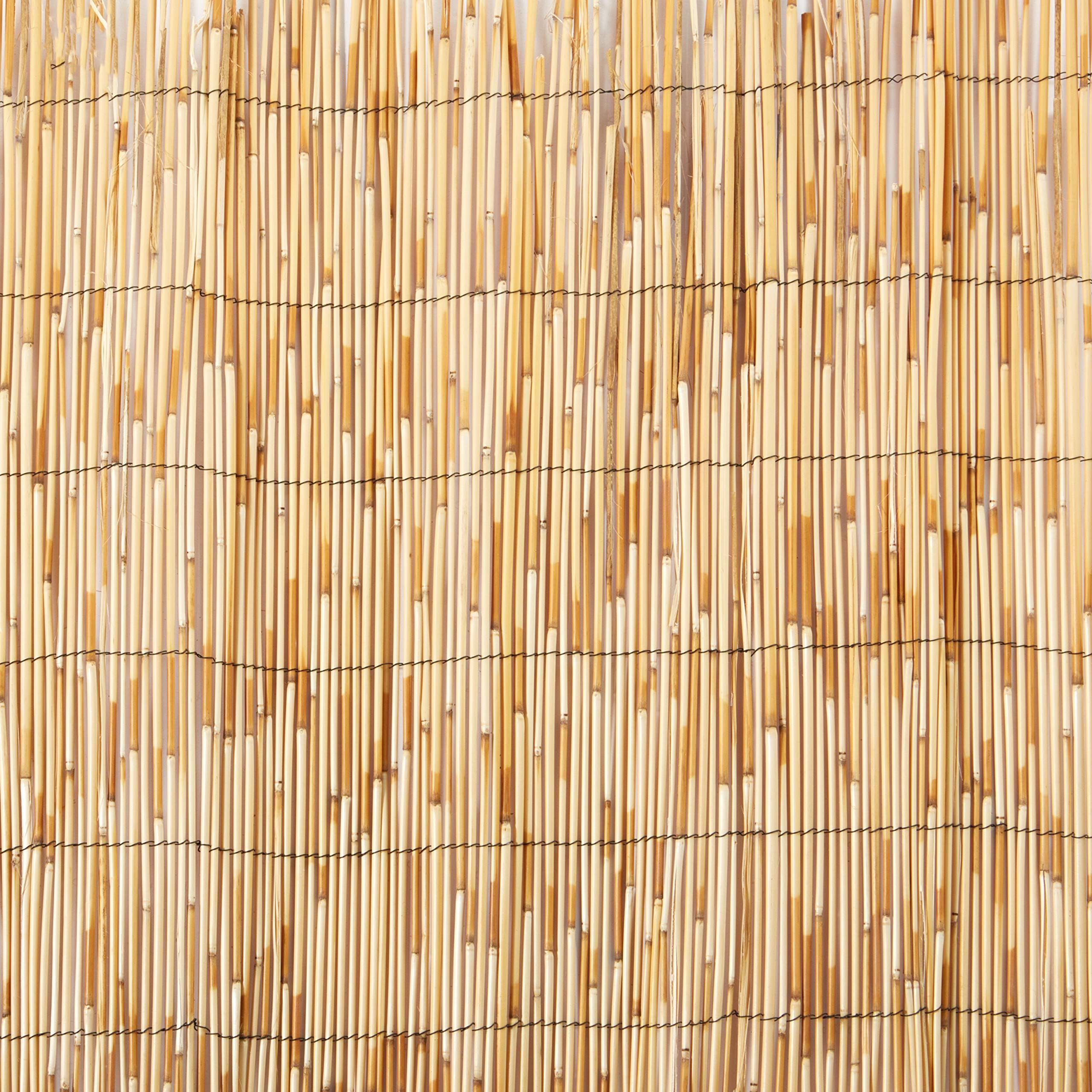 Master Garden Products RF Reed Fence, 2 x 14-Feet, Yellow, Reed Fence, 2-Feet x 14-Feet