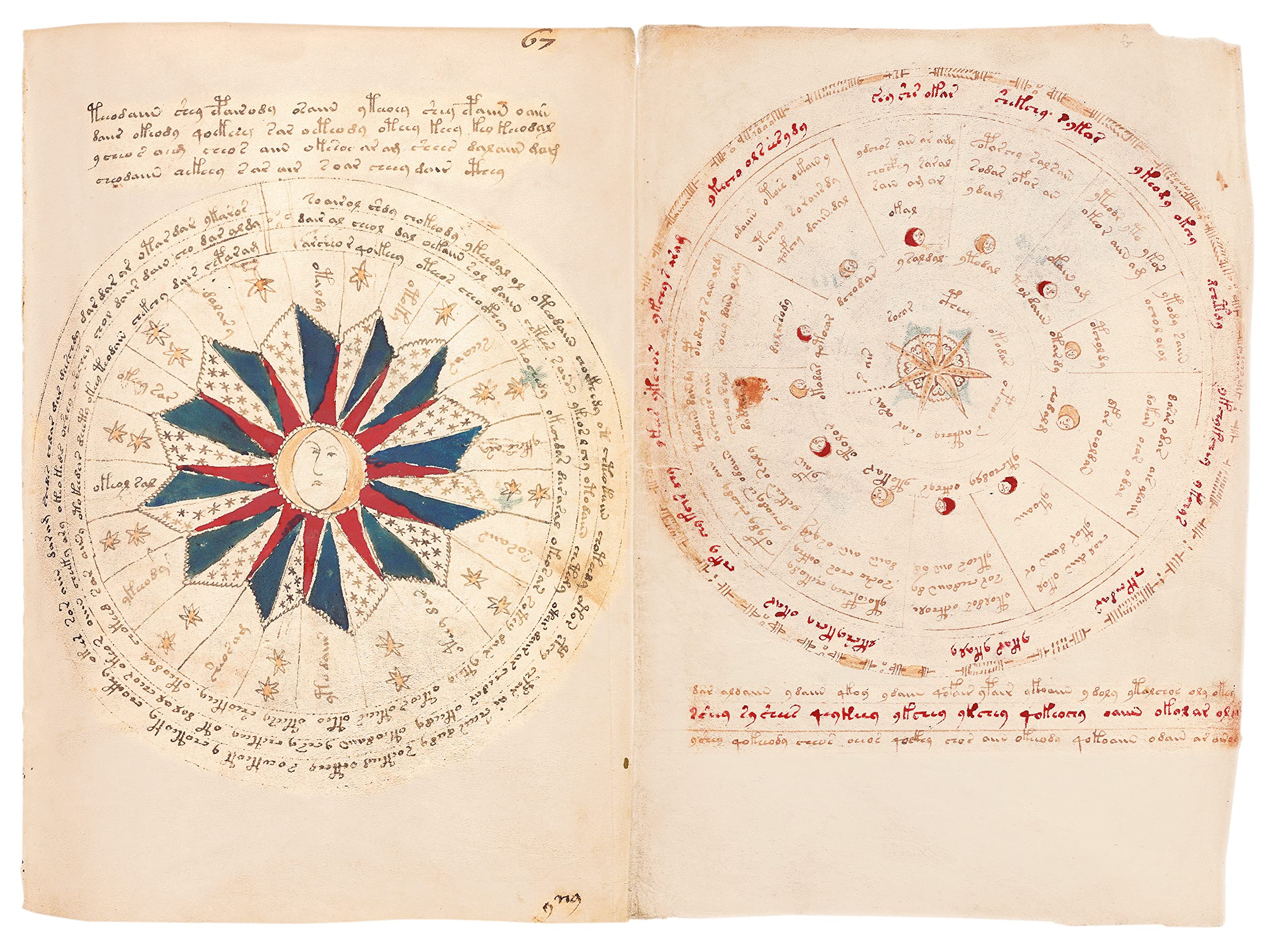 Das Voynich Manuskript: Gesamtdarstellung aller Tafeln der geheimnisvollen illuminierten Handschrift