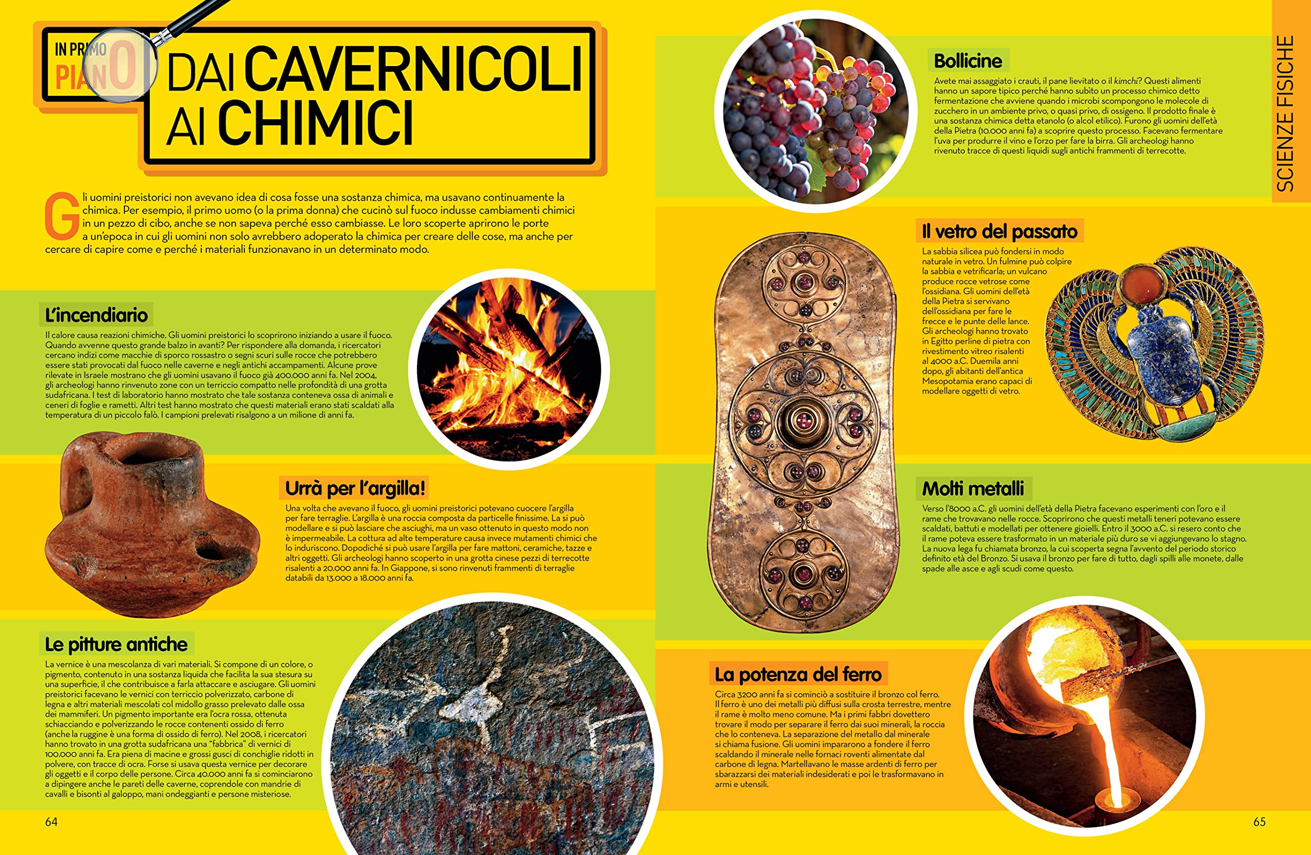 LibroScienza - Enciclopedia della Scienza per Tutte le Età | Atomi e Particelle | Chimica Alimentare | Animali | Esplorazione Spaziale - Edizione Illustrata