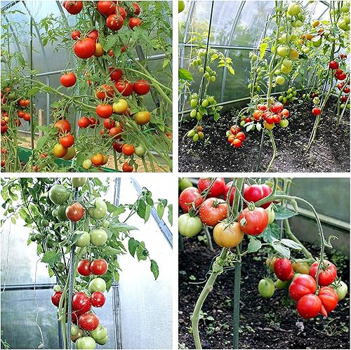 Miniatura 8 de Estacas de jardín de metal resistentes de 4 pies para jaulas de tomate con revestimiento de plástico para tomates, árboles, pepino, cercas y