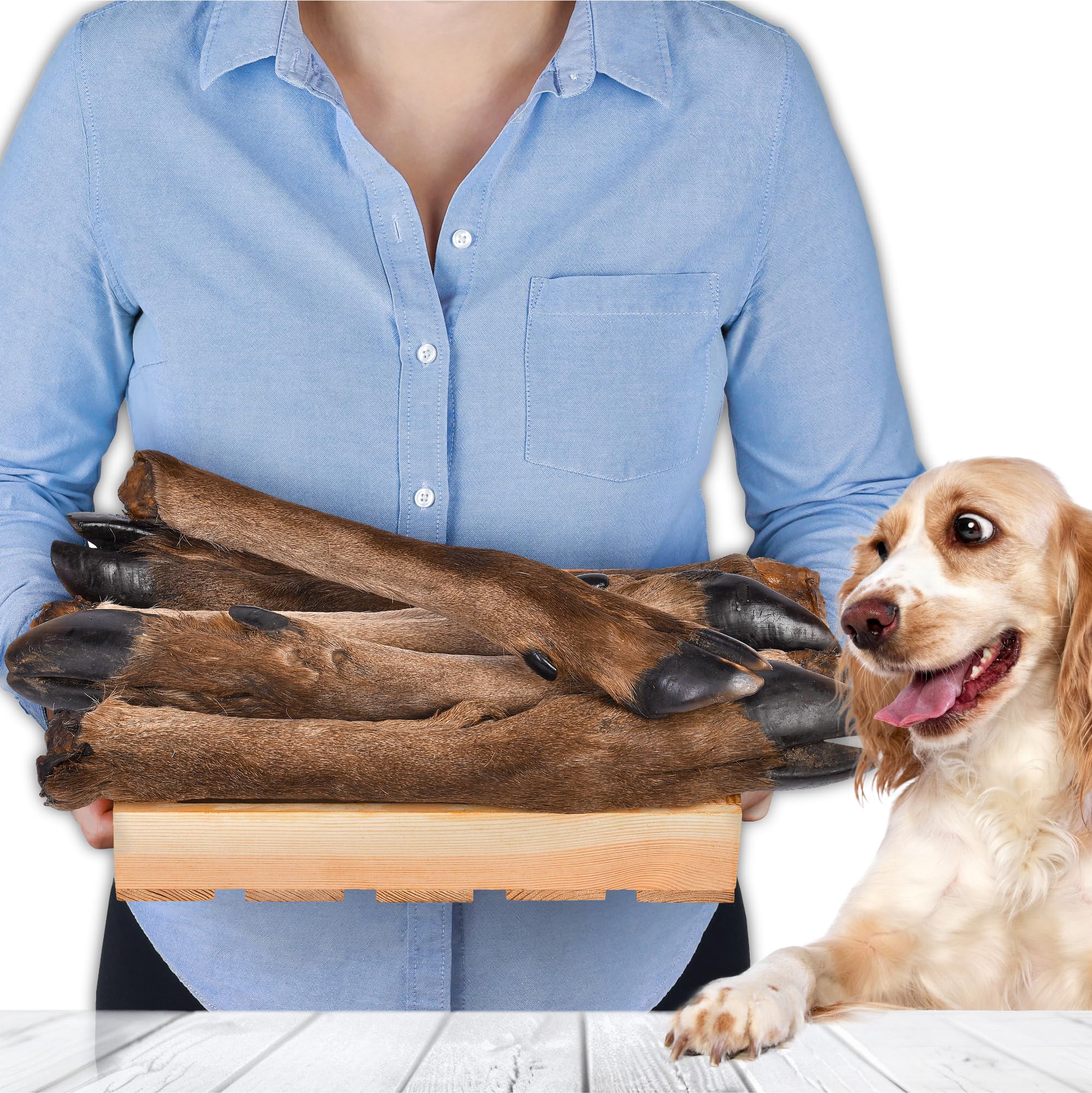 Deer Legs with Fur for Dogs Pack of 5 | Dried Wild Chews | 100% Natural | With Fur | Air Dried | Grain Free | Long Chewing Fun for Small & Large Dogs
