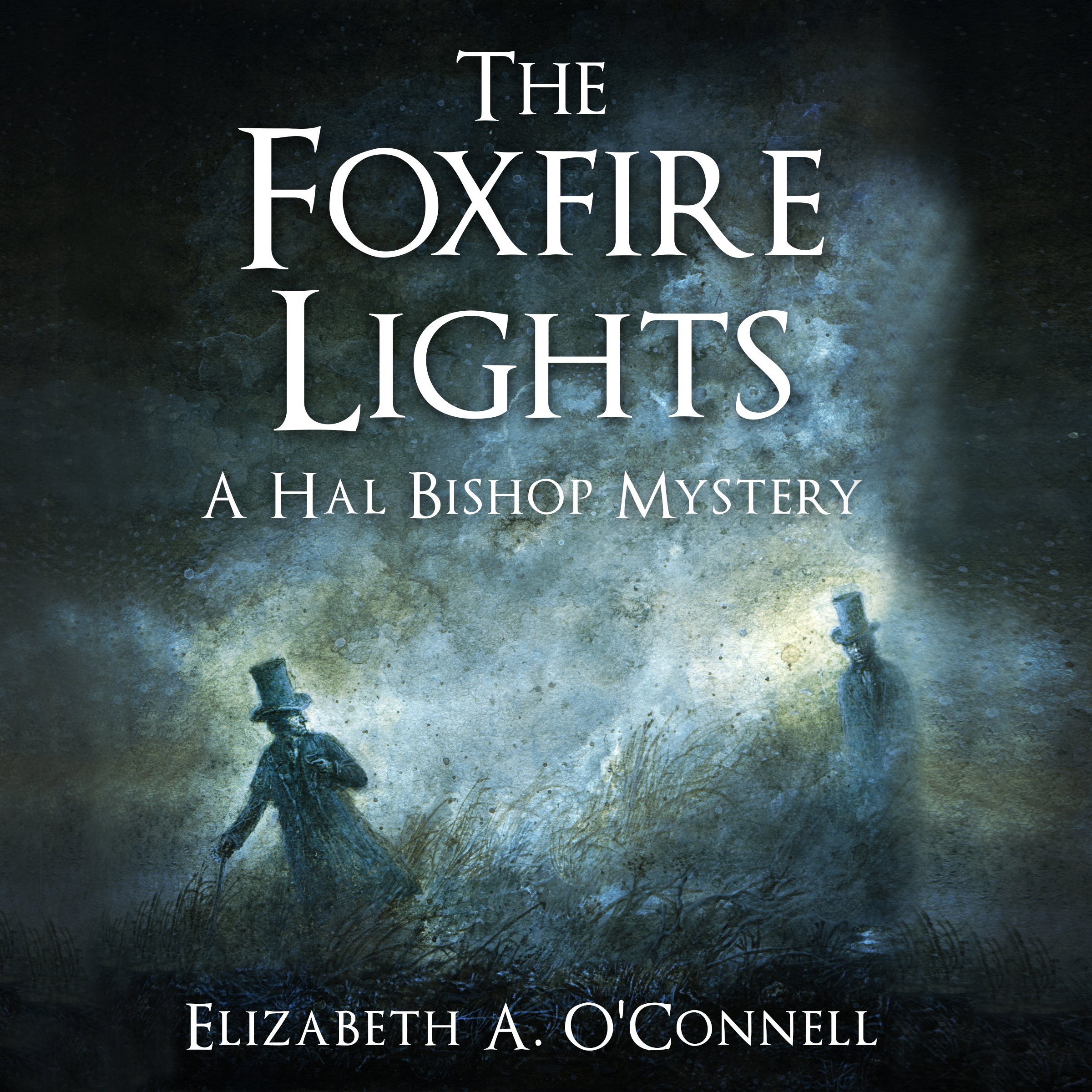 Cover art for The Foxfire Lights