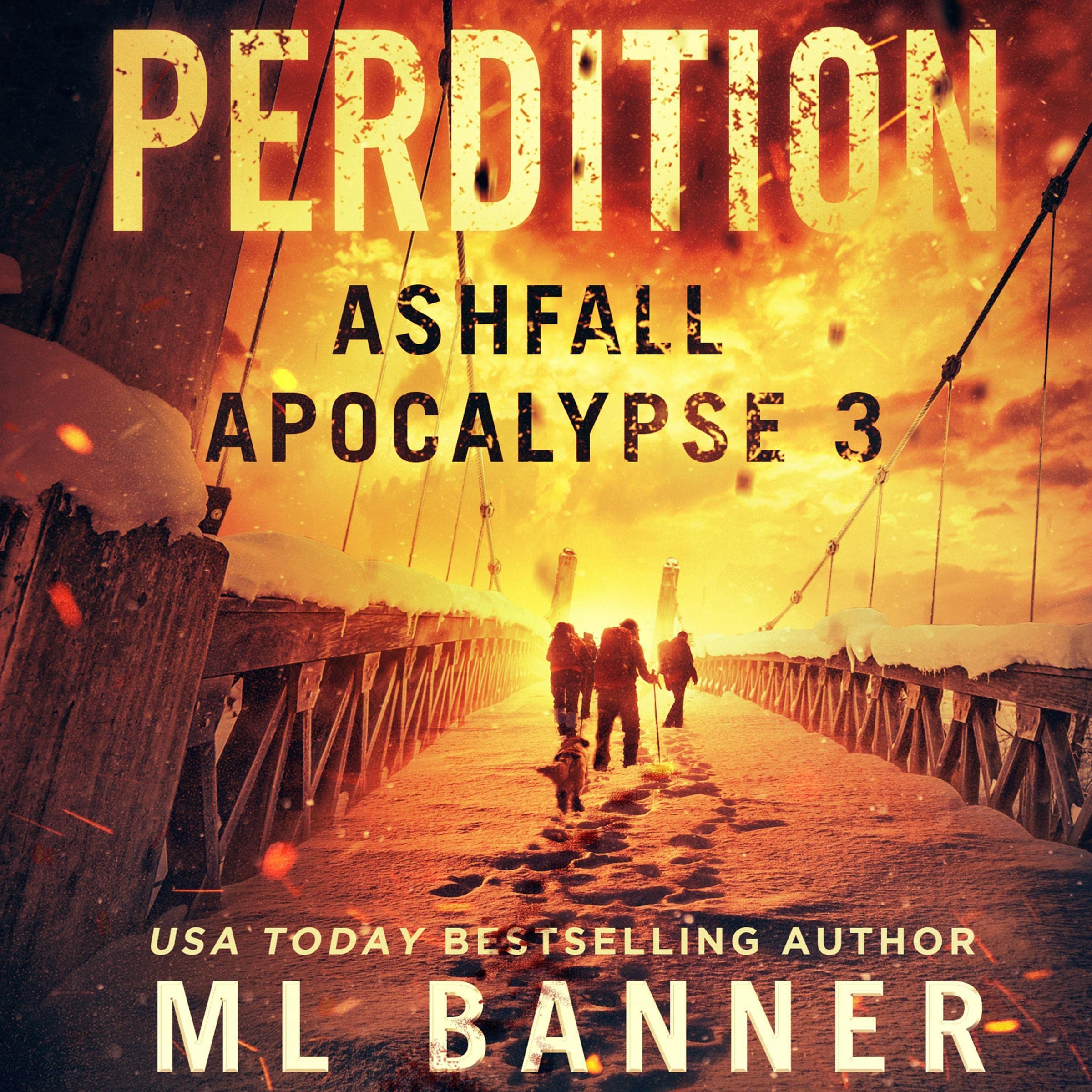 Cover art for Perdition