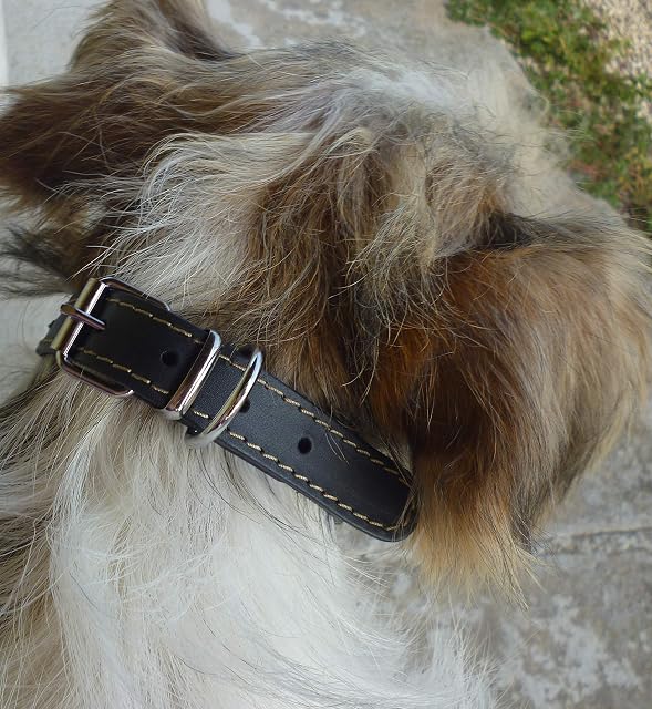 Foto 3 de 4 de YAGO Collar Ajustable de Cuero Suave para Perro, pequeño, 26-32 cm, Negro