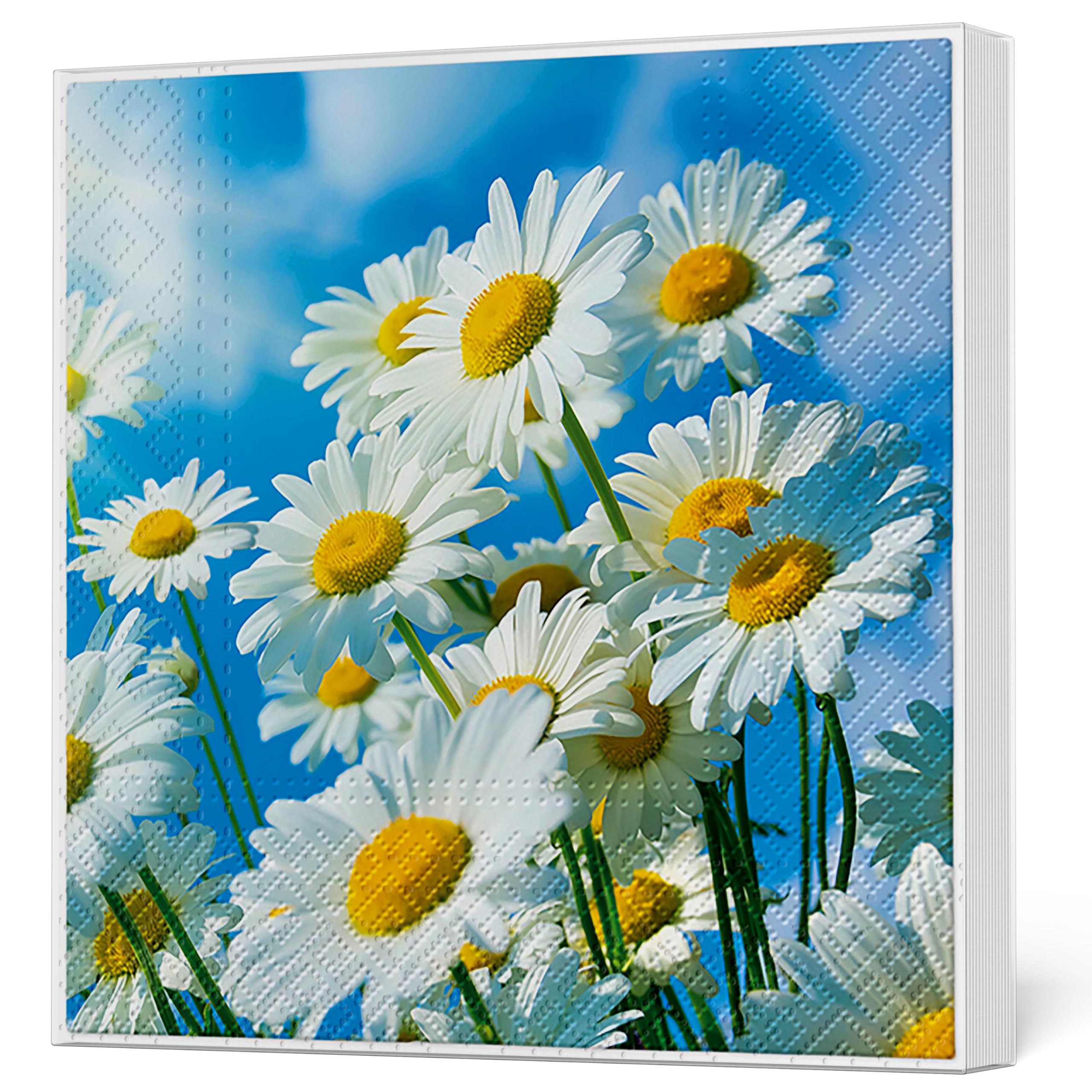 Tete a Tete 3Ply Flowery Tissue Paper Napkins Decoupage Serviettes 33cm x 33cm - 1/4 Folded (Pack of 20) (Botanical Memories) — view 15
