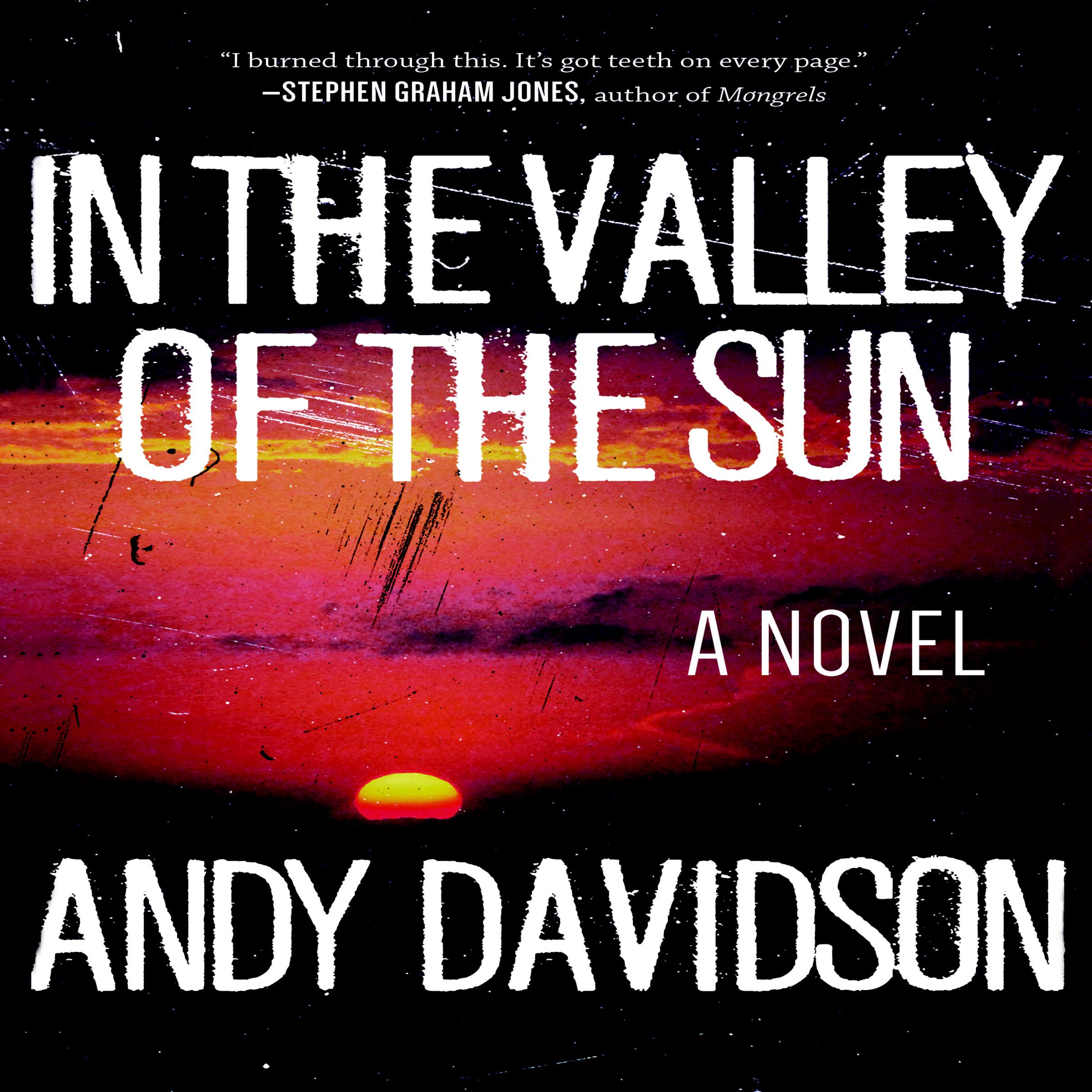 In the Valley of the Sun: A Novel