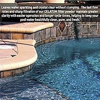 Vista 5 de Celatom Tierra de Diatomeas DE Ayuda para Filtro de Piscina Filtración de Piscinas y Spa - 25 Libras Nuevo