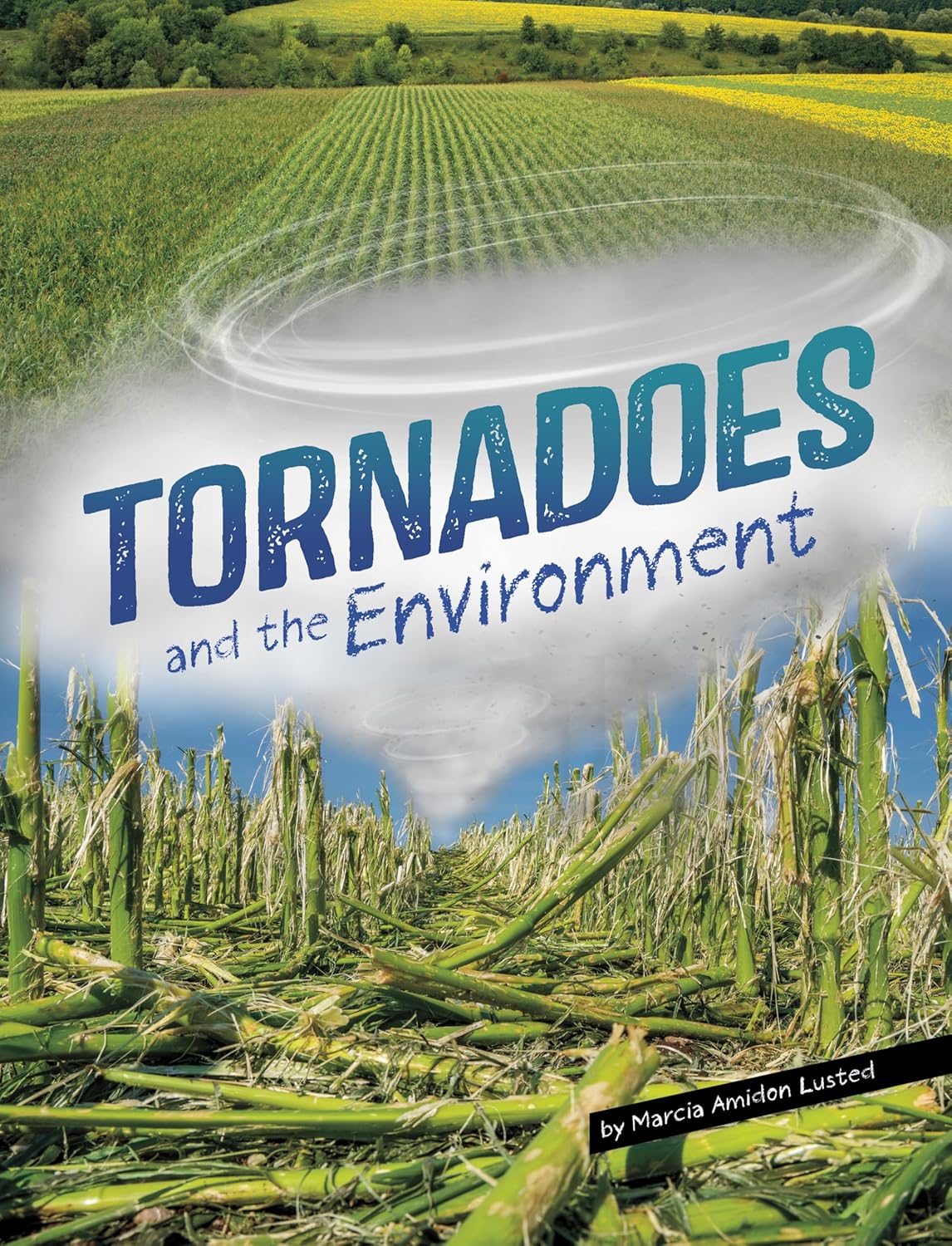 Tornadoes and the Environment (Disasters and the Environment)      Hardcover – August 1, 2025