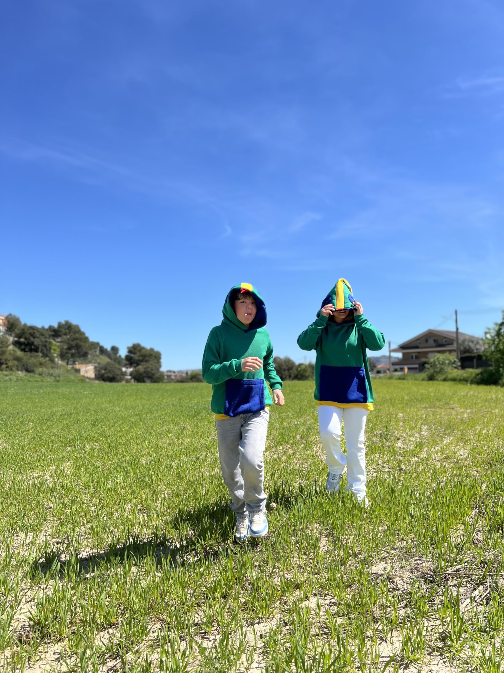 Sudadera con Capucha de Diseño Animal, Estilo León, Verde y Azul, Bolsillo Canguro,