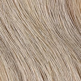 Clairol Professional Permanent Liquicolor, 9AN Very Light Cool Neutral Blonde, 2 oz. - Packaging May Vary