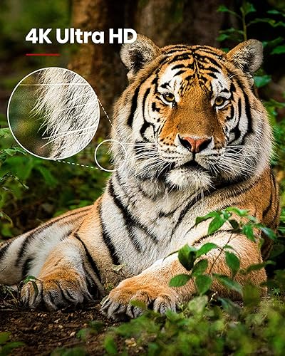 Miniatura 2 de Anker Nebulosa Cosmos - Proyector de video