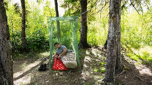 Vista 12 de Mosquitero Coghlan's Varios