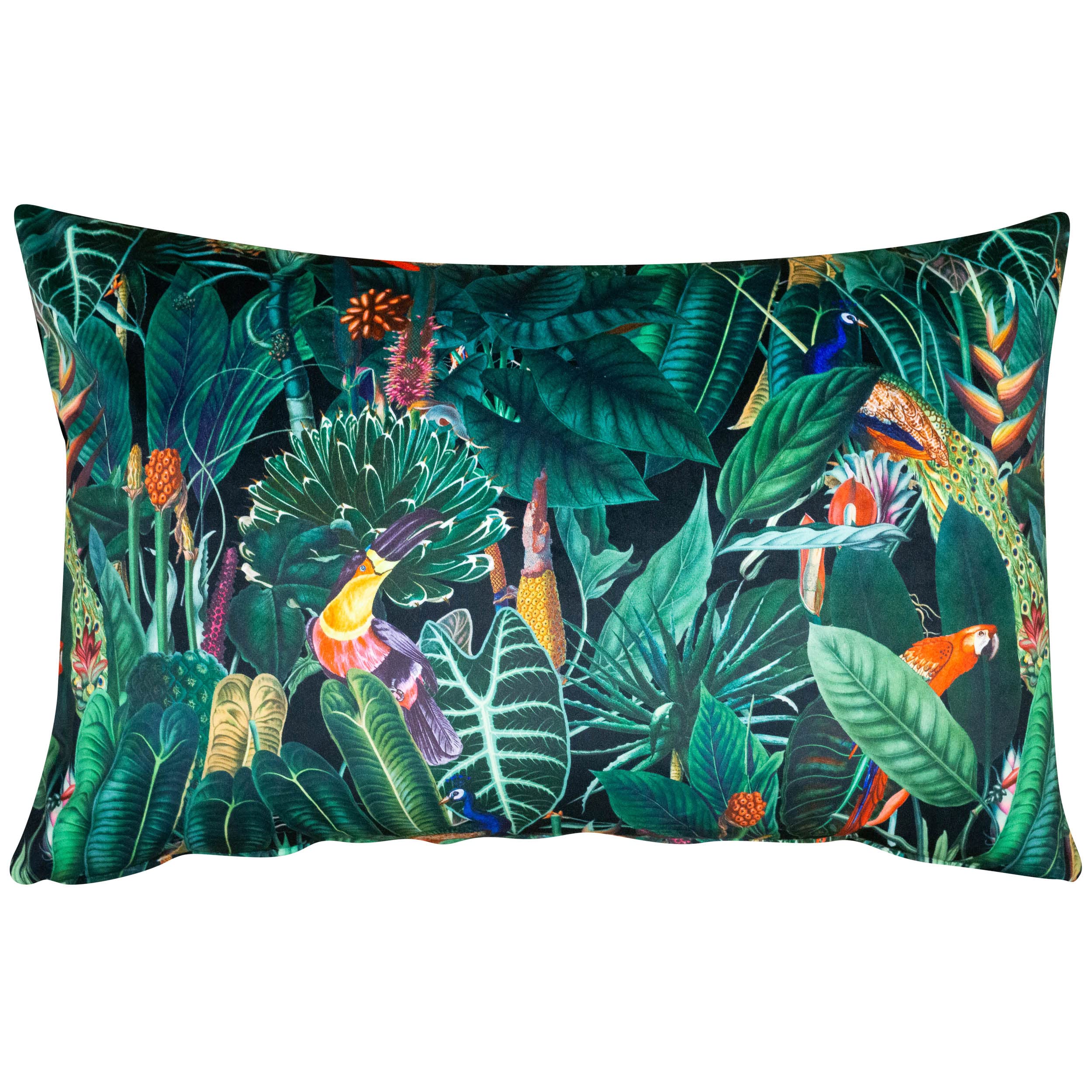 Linen Loft Black Lima Jungle Birds Velvet Xl Rectangular Cushion Cover. Tropical Peacocks & Jeweled Green Rainforest. Backed With A Plain Velvet. 23X15 Xl Rectangle Cover Only