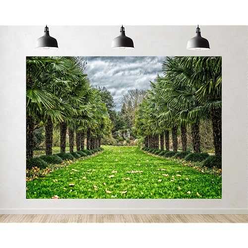 Trykid 5x3ft Palm Avenue Backdrop Fan Palm Row Neat Green Lawn Overcast Moody Cloud Sky Photography Background Brunch Gathering Party Decoration Tapestry Photo Booth Prop Fabric