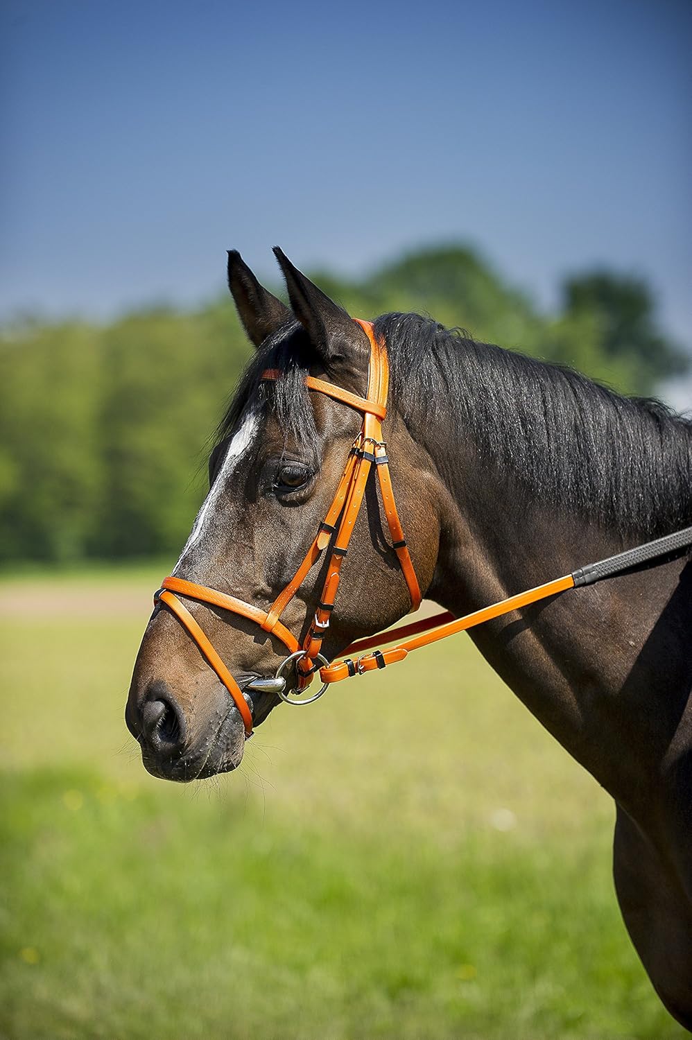 NORTON Synthetic bridle - Cob size - Neon Green