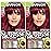 Garnier Hair Color Nutrisse Ultra Color Nourishing Creme, RP1 Dark Intense Pink Red (Cherry Flamingo) Permanent Hair Dye, 2 Count (Packaging May Vary)
