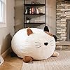 Product Photo 5