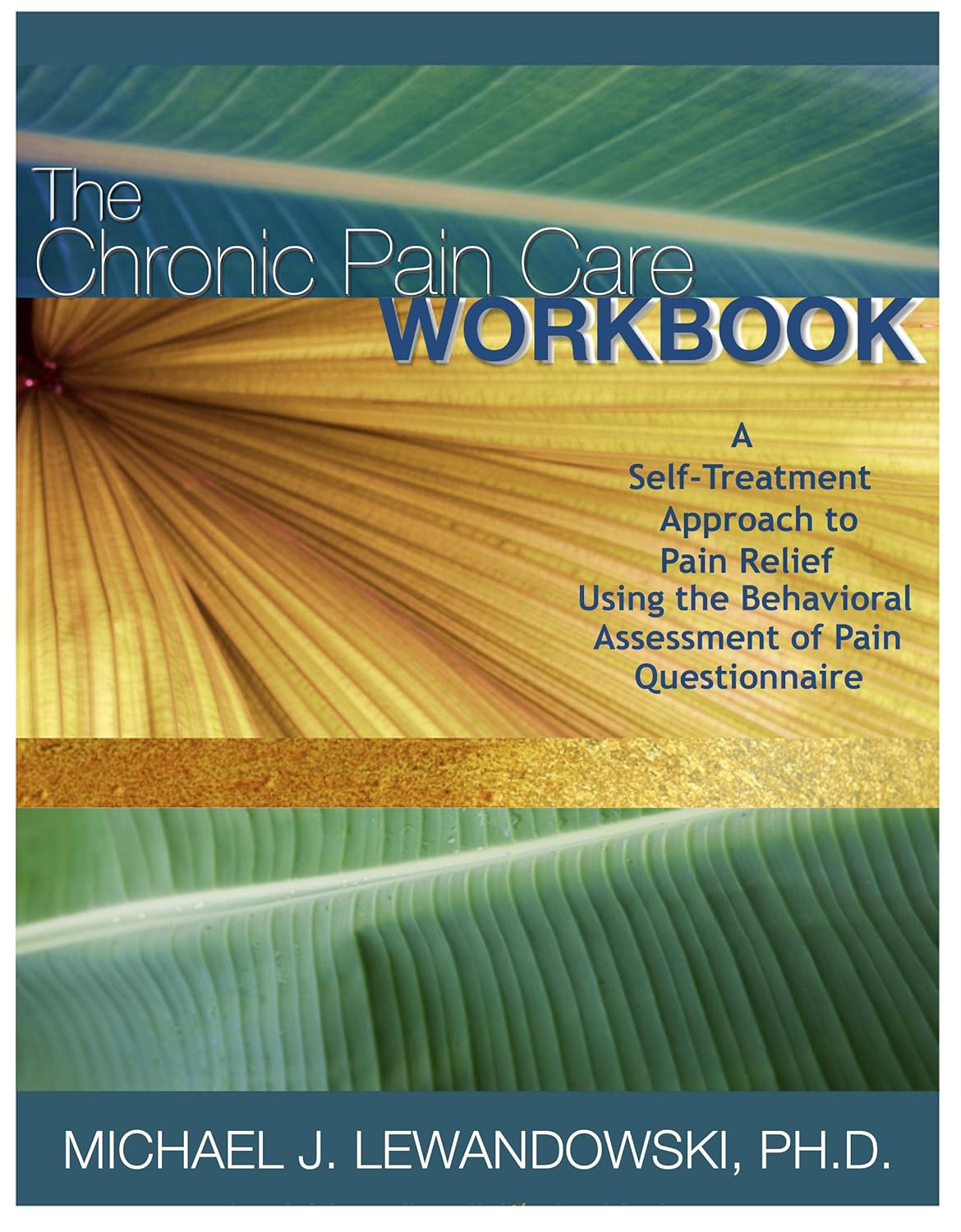 The Chronic Pain Care Workbook      Kindle Edition