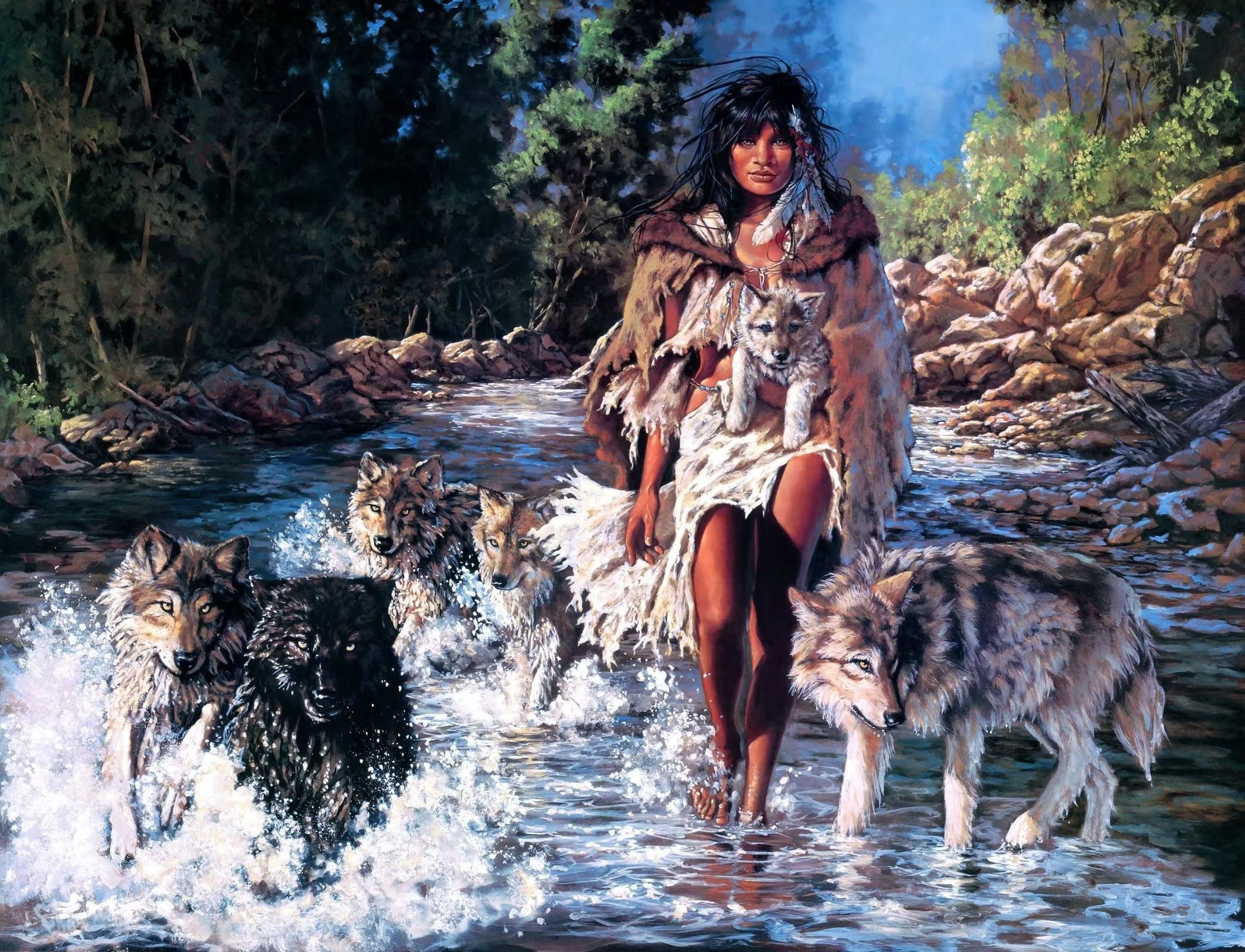 Native American Indian Girl And Wolves Gifts For Native American Indian Funny Novelty Metal Retro Wall Decor Poster Metal Sign 8X12 Inches