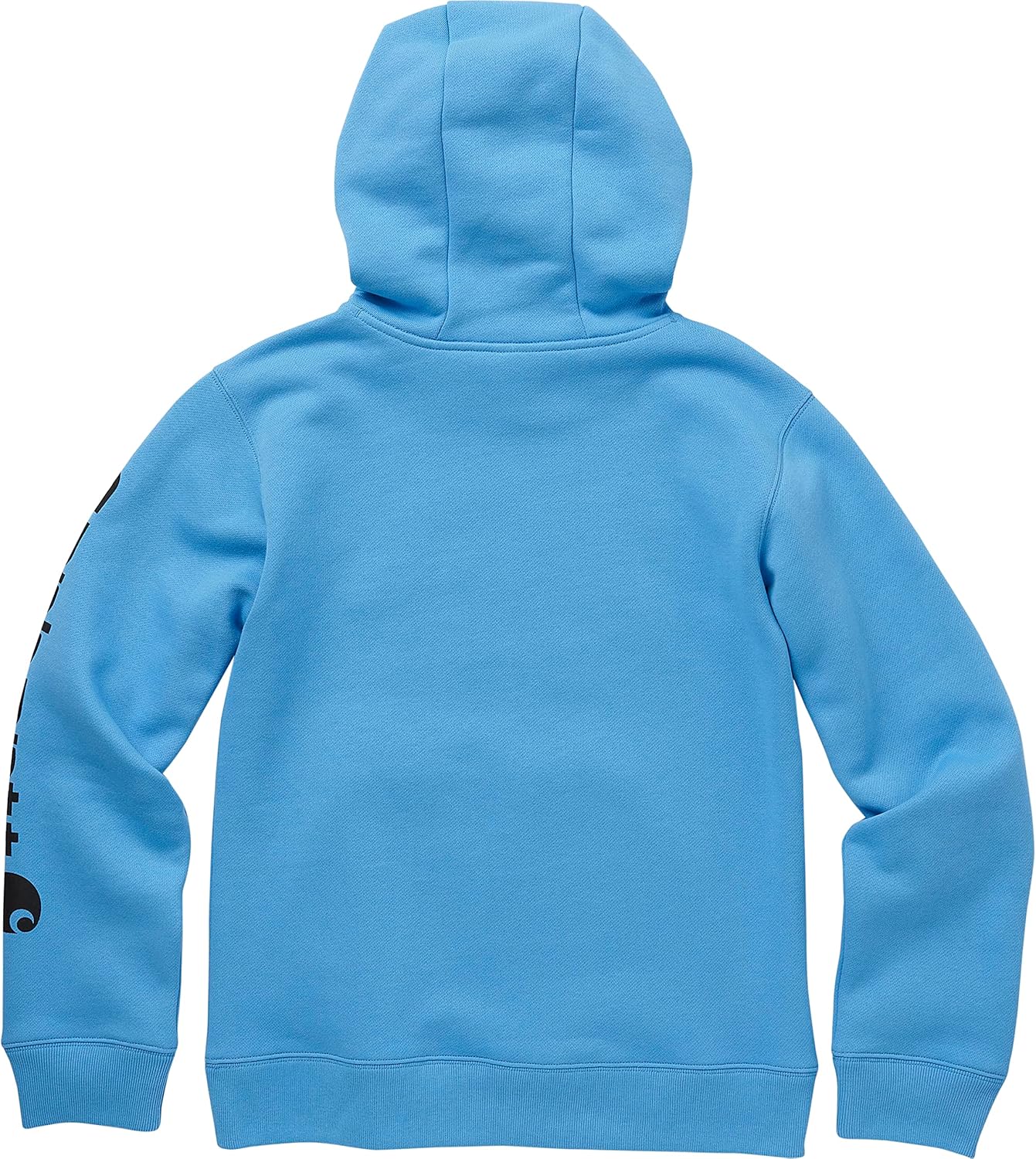 Carhartt Boys' Hoodie Fleece Pullover Sweatshirt, Azure Blue, 4