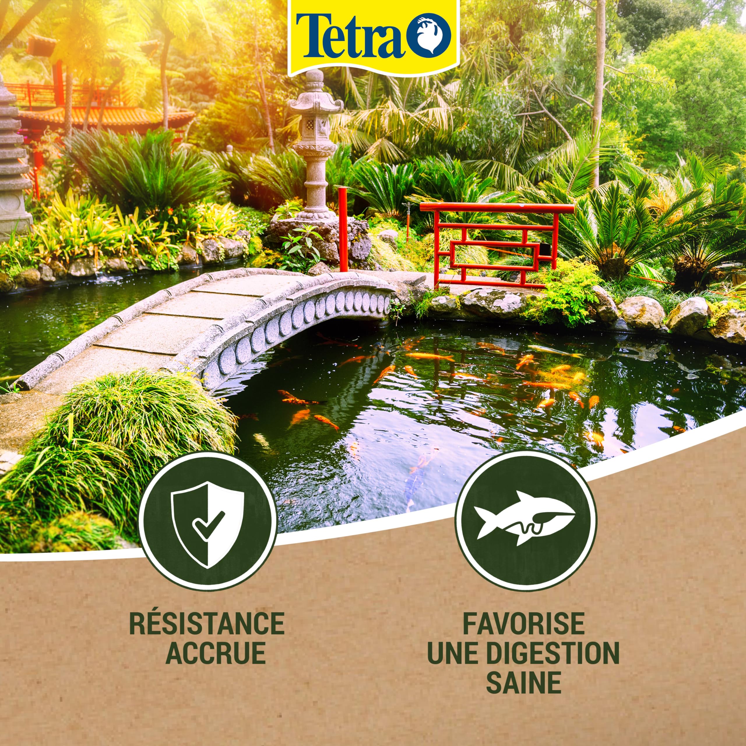 Tetra Pond Wheatgerm Sticks – Alimentation Equilibrée aux Germes de Blé pour Poissons de bassin – Recommandé en automne et au printemps – Riche en fibres – Très Energétique - 10 L | Avec germes de blé | Riche en fibres | Haute digestibilité | Idéal périod