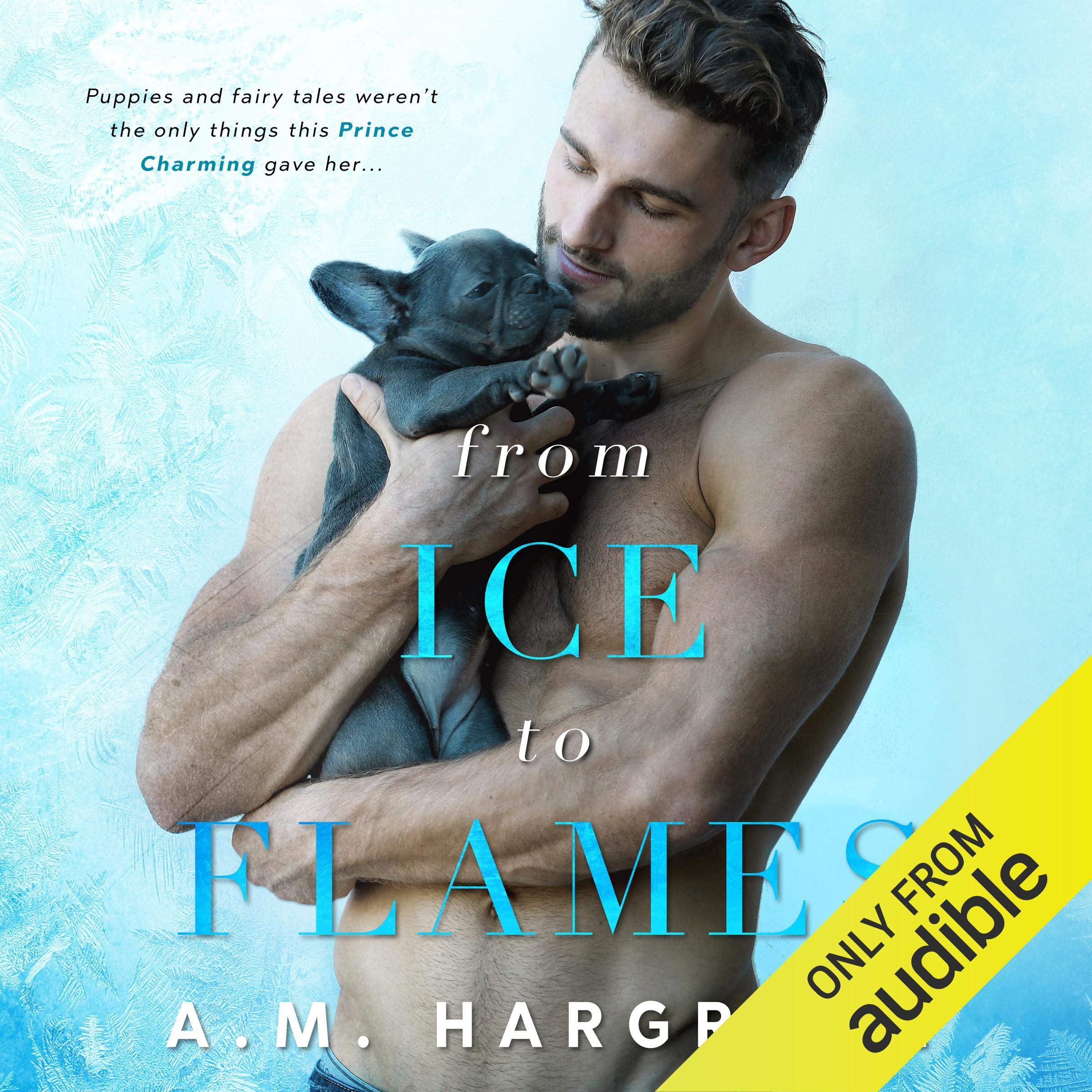 Cover art for From Ice to Flames
