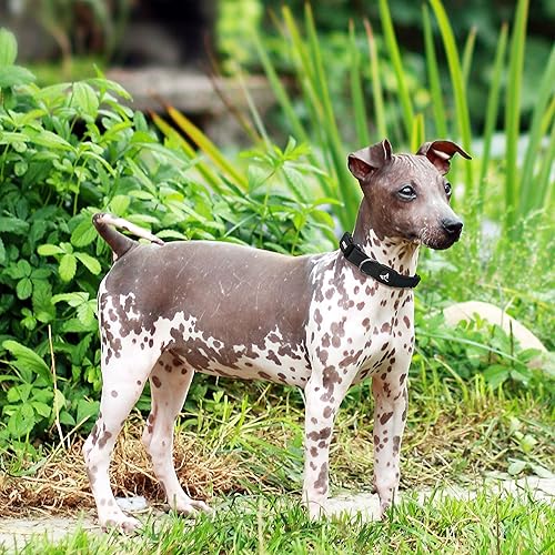 Miniatura 11 de Kruz - Collar de perro para perros grandes (ancho de 1.5 pulgadas, cuello de 20.5 a 31.5 pulgadas), banda ajustable para el cuello para mascotas con