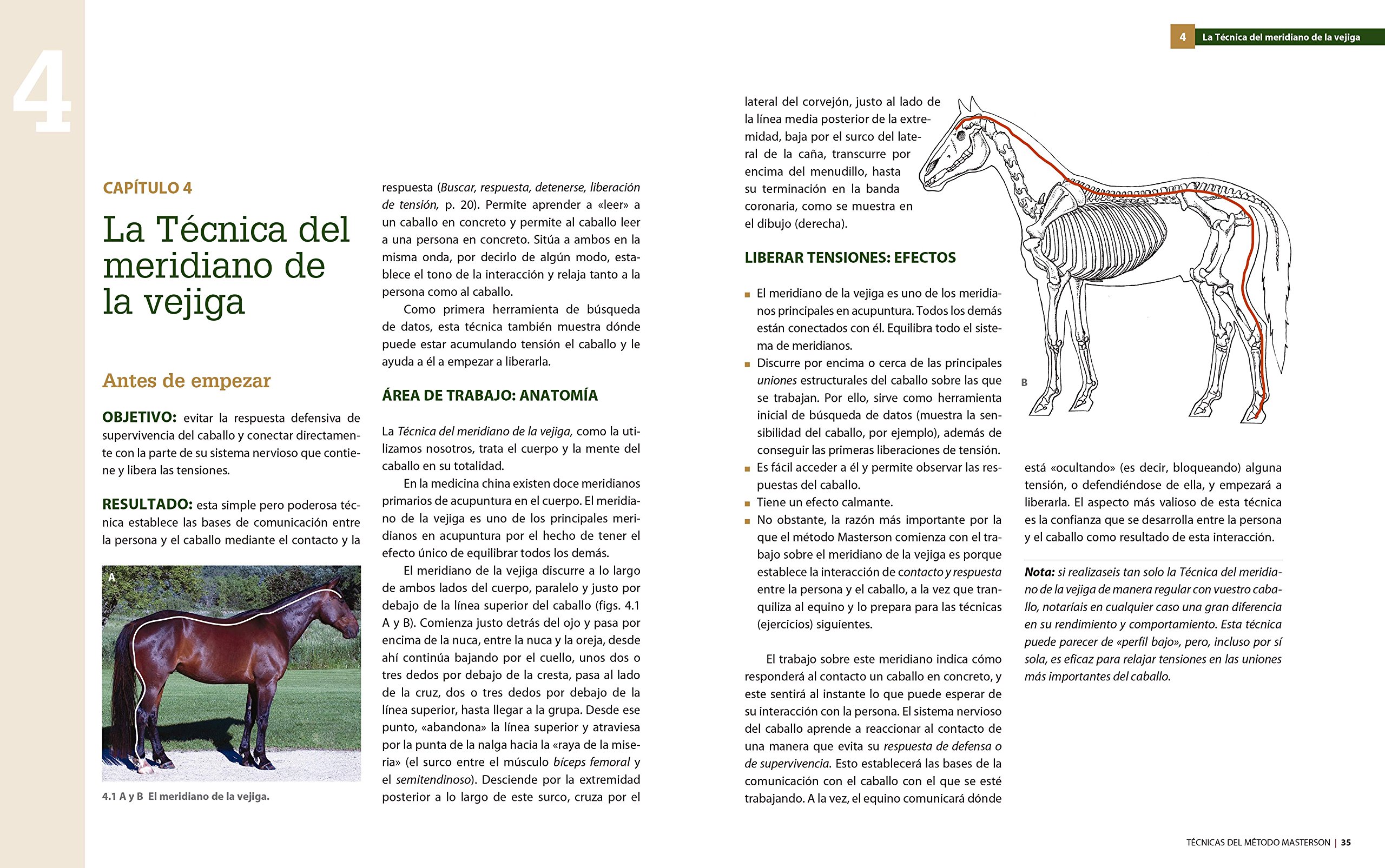 El Método Masterson. Ejercicios Y Técnicas Para Mejorar El Rendimiento Del Caballo: Innovador método de interacción con el caballo para aliviar dolores y tensiones (DEPORTES)