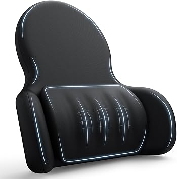 Lumbar Support Pillow for Office Chair Car Back Support Pillow, 45D slow rebound memory foam Gaming Chair Desk Chair Back Cushion for Lower Back Pain Relief, Dynamic support module,Ergonomic Back Rest