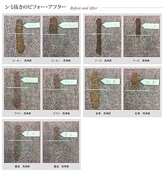 Amazon.co.jp: 【プロの清掃業者ご愛用】業務用シミ取りスプレー