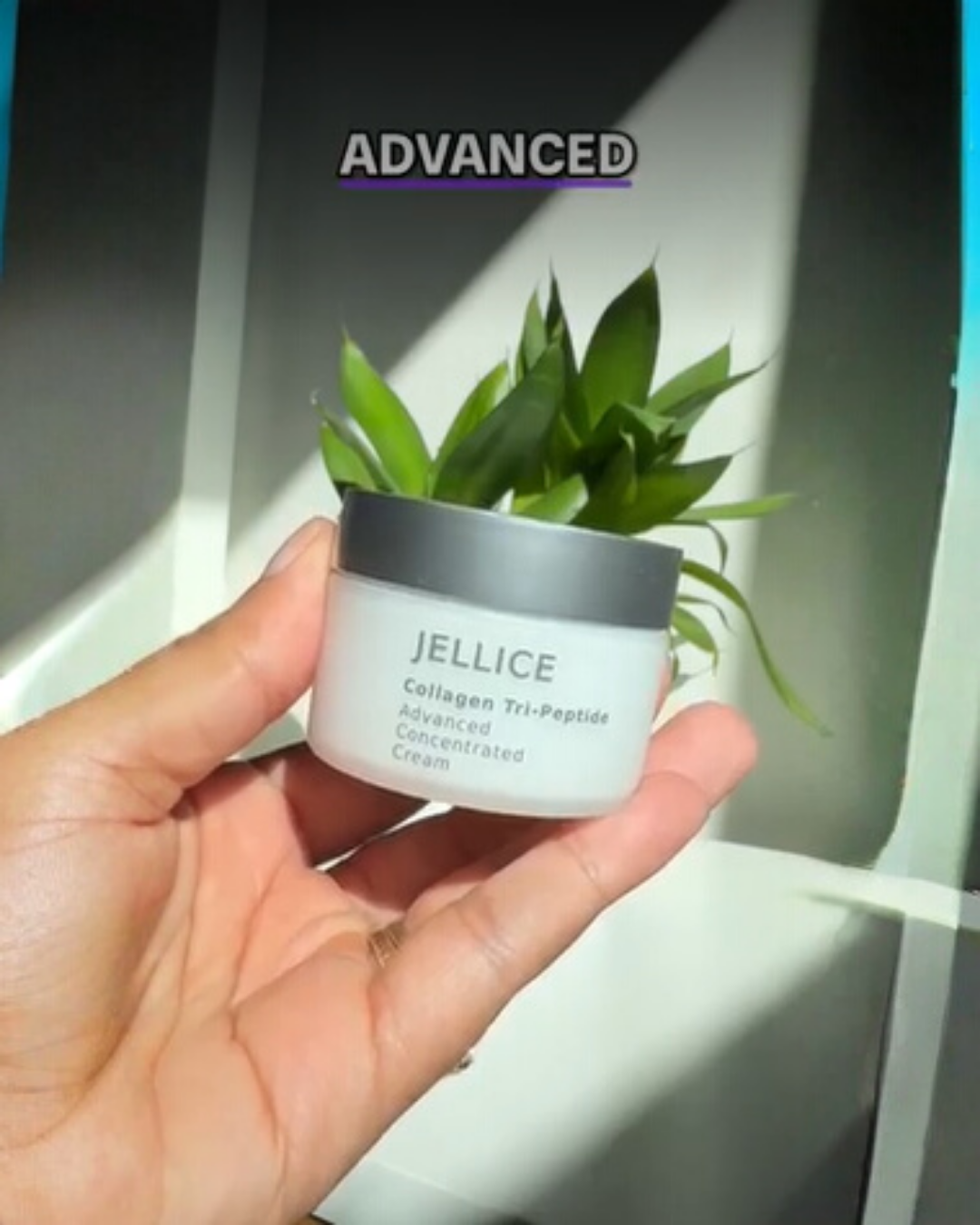 Amazon.com: JELLICE Advanced Collagen Face Cream – Japanese