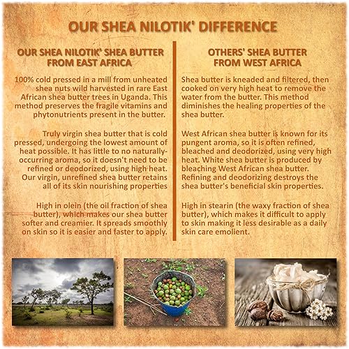 Miniatura 5 de Shea Terra Organics Nilotik' Loción ultra rica de manteca de karité - Nambian Marula  Hidratante diario natural alto en vitaminas y ácidos grasos