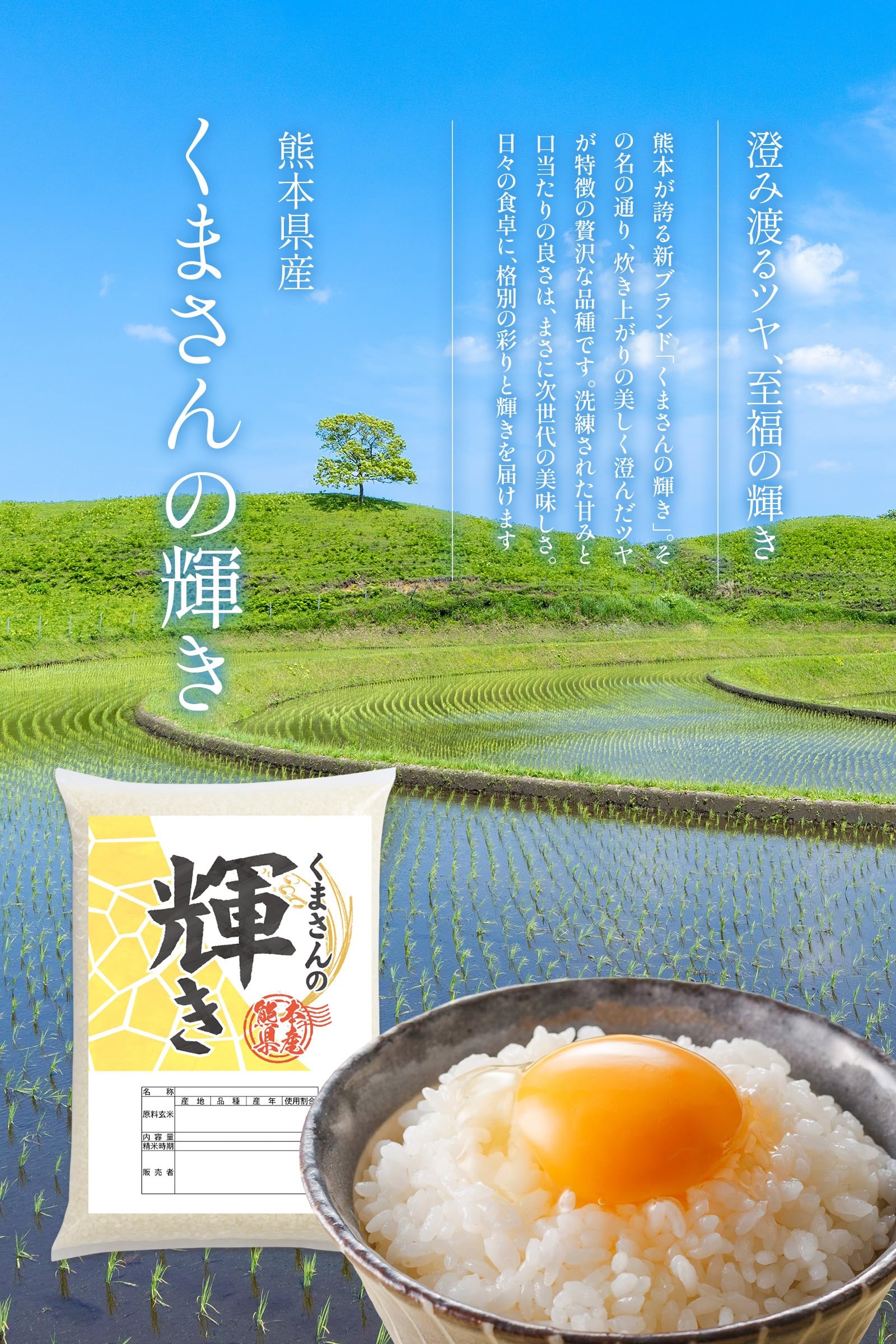 Amazon.co.jp: 【 熊本県産 くまさんの輝き 白米 10kg】令和7年産 銘柄