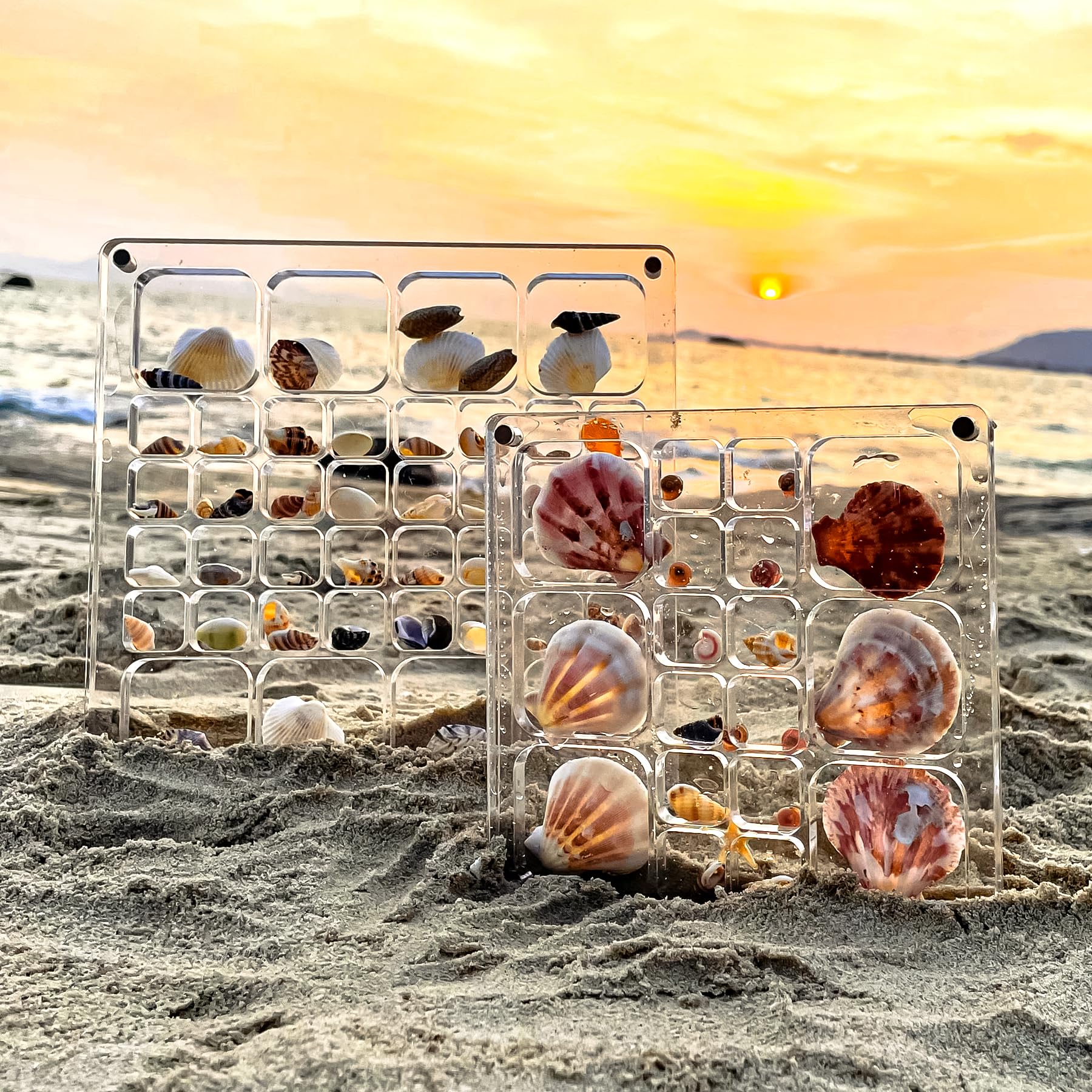 Amazon.com: MUXIUNT Multi-Style Clear Acrylic Magnetic Seashell