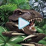 Sleep timer video for extended jungle soundscapes and visuals.