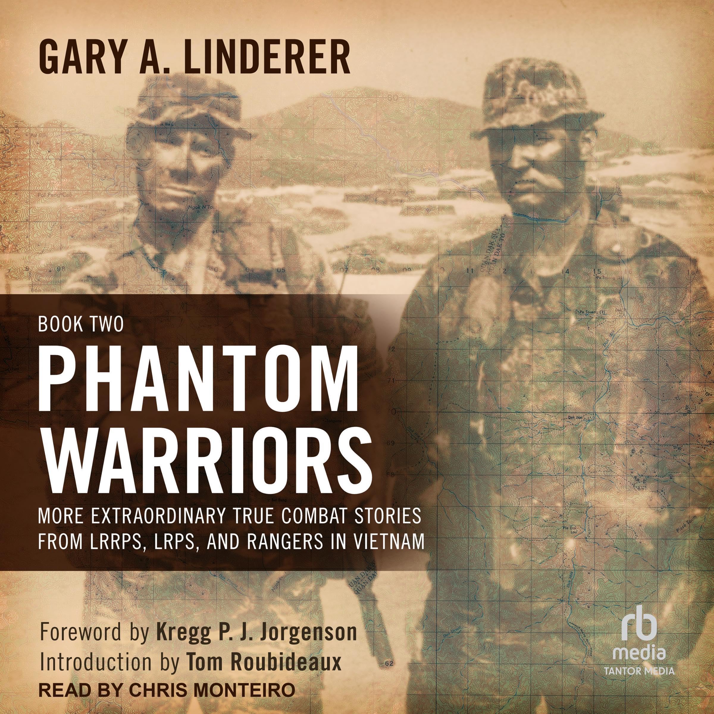 Cover art for Phantom Warriors