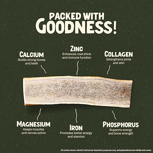 Miniatura 4 de Heartland - Cuernos de ciervo para perros (mediano, 5 a 6 pulgadas, paquete de 2 unidades)  Grado A, desprendimiento natural  Sin astillas,