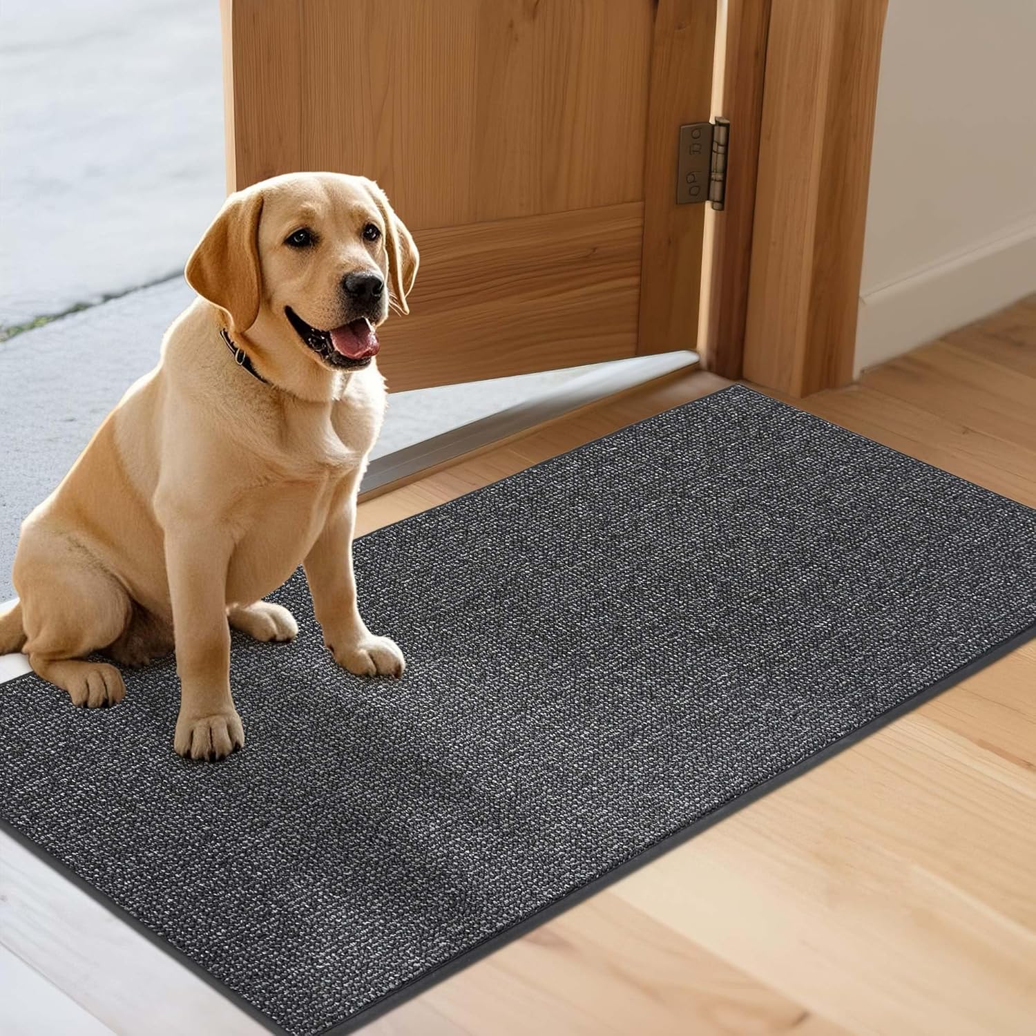 JSEI Dirt Trapper Door Mat 24"x60" Non-Slip Washable Entrance Mat, Dog Doormats, Absorbent & Fade-Resistant Floor Mats, Low Profile Welcome Mats for Entryway, Front Door, and Inside Entrance,Dark Grey 2' x 5' (Rectangular) Dark Grey